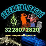 serenata barata